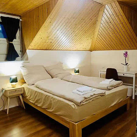 La Petite Maline Friends&family Appartement Sierre