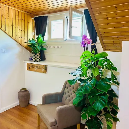 La Petite Maline Friends & Family